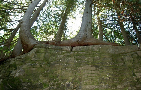  Bruce Trail 